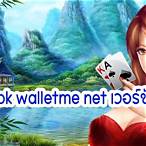 slot walletme net